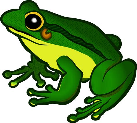Frog Clipart free Download.